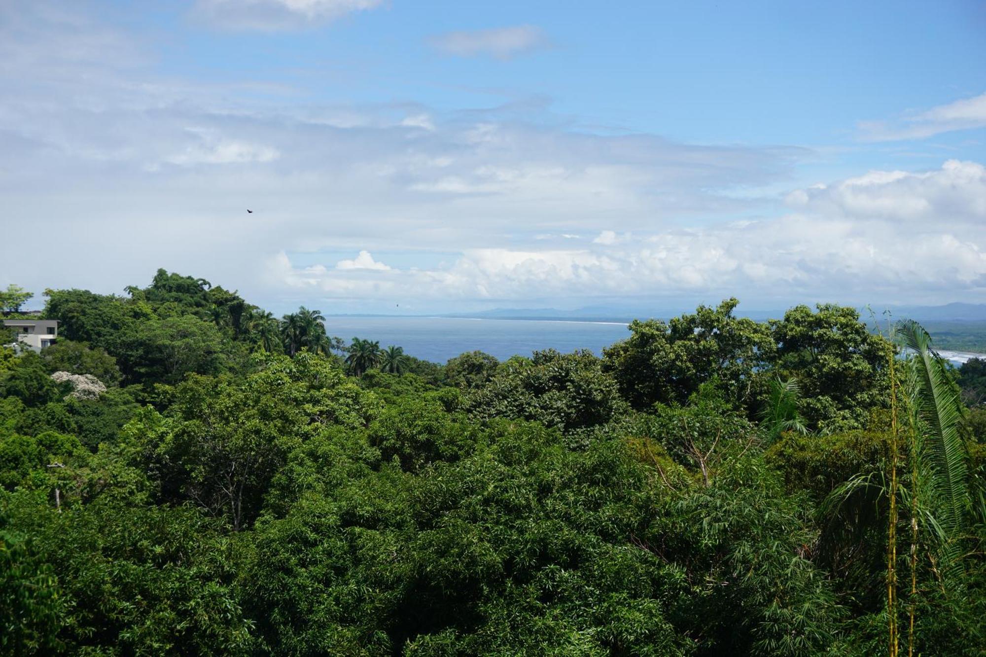 Hotel Planeta Sano Manuel Antonio Kültér fotó